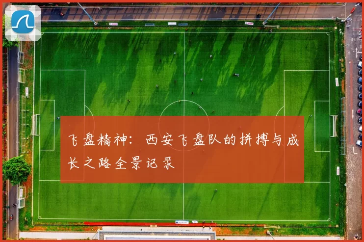 飞盘精神：西安飞盘队的拼搏与成长之路全景记录