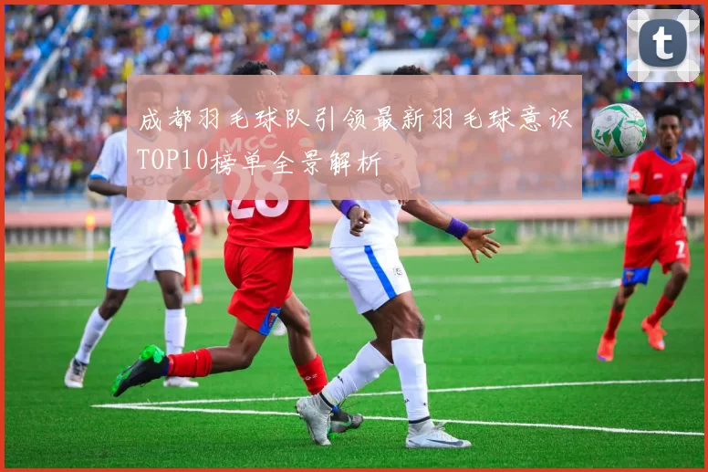 成都羽毛球队引领最新羽毛球意识TOP10榜单全景解析