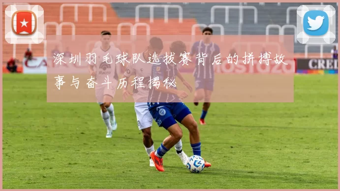 深圳羽毛球队选拔赛背后的拼搏故事与奋斗历程揭秘