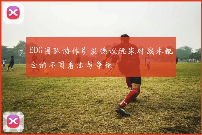 EDG团队协作引发热议玩家对战术配合的不同看法与争论