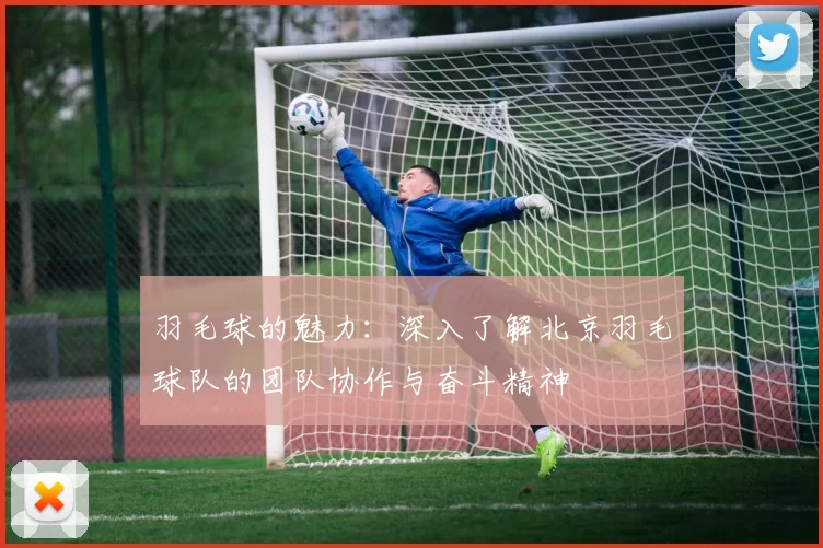 羽毛球的魅力：深入了解北京羽毛球队的团队协作与奋斗精神