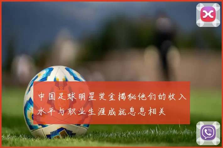 中国足球明星奖金揭秘他们的收入水平与职业生涯成就息息相关