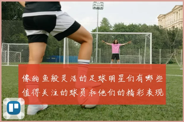 像狗鱼般灵活的足球明星们有哪些值得关注的球员和他们的精彩表现