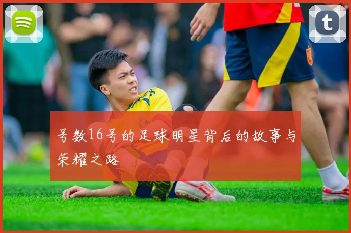 号数16号的足球明星背后的故事与荣耀之路