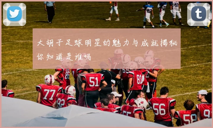 大胡子足球明星的魅力与成就揭秘你知道是谁吗